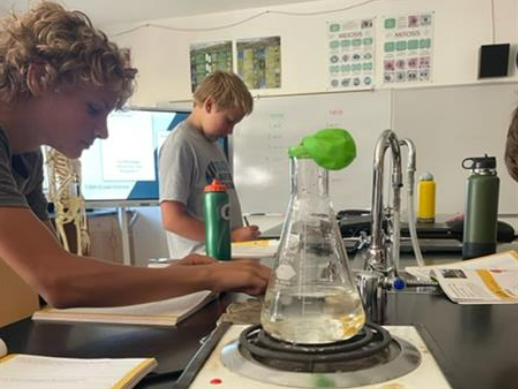 Science