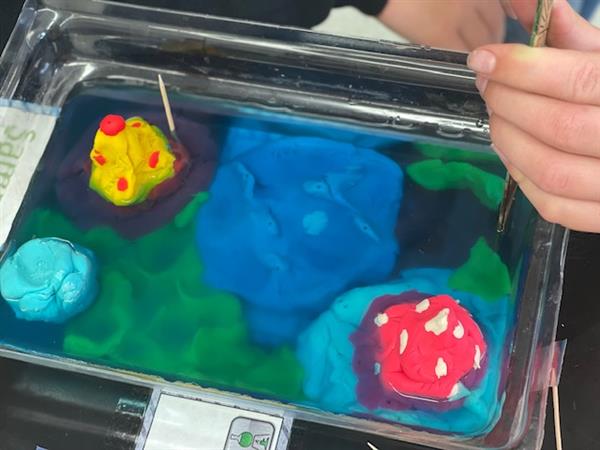 7th/8th Earth Science